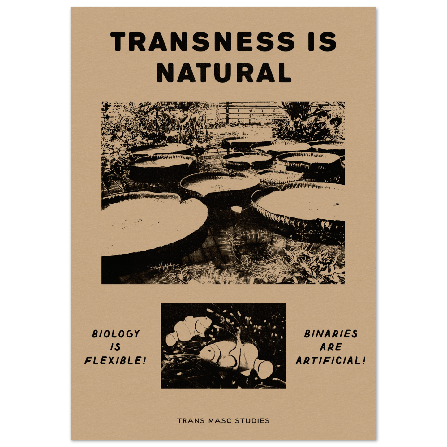 Transness is Natural Poster