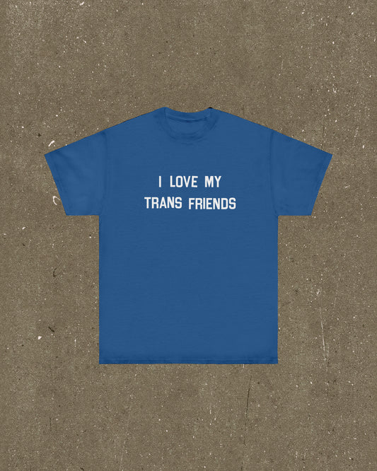 I Love My Trans Friends T Shirt