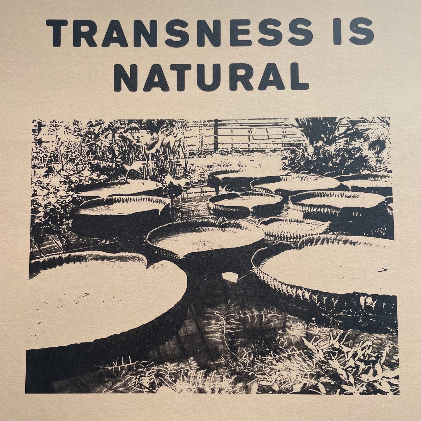 Transness is Natural Poster
