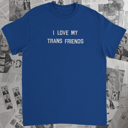 I Love My Trans Friends T-Shirt